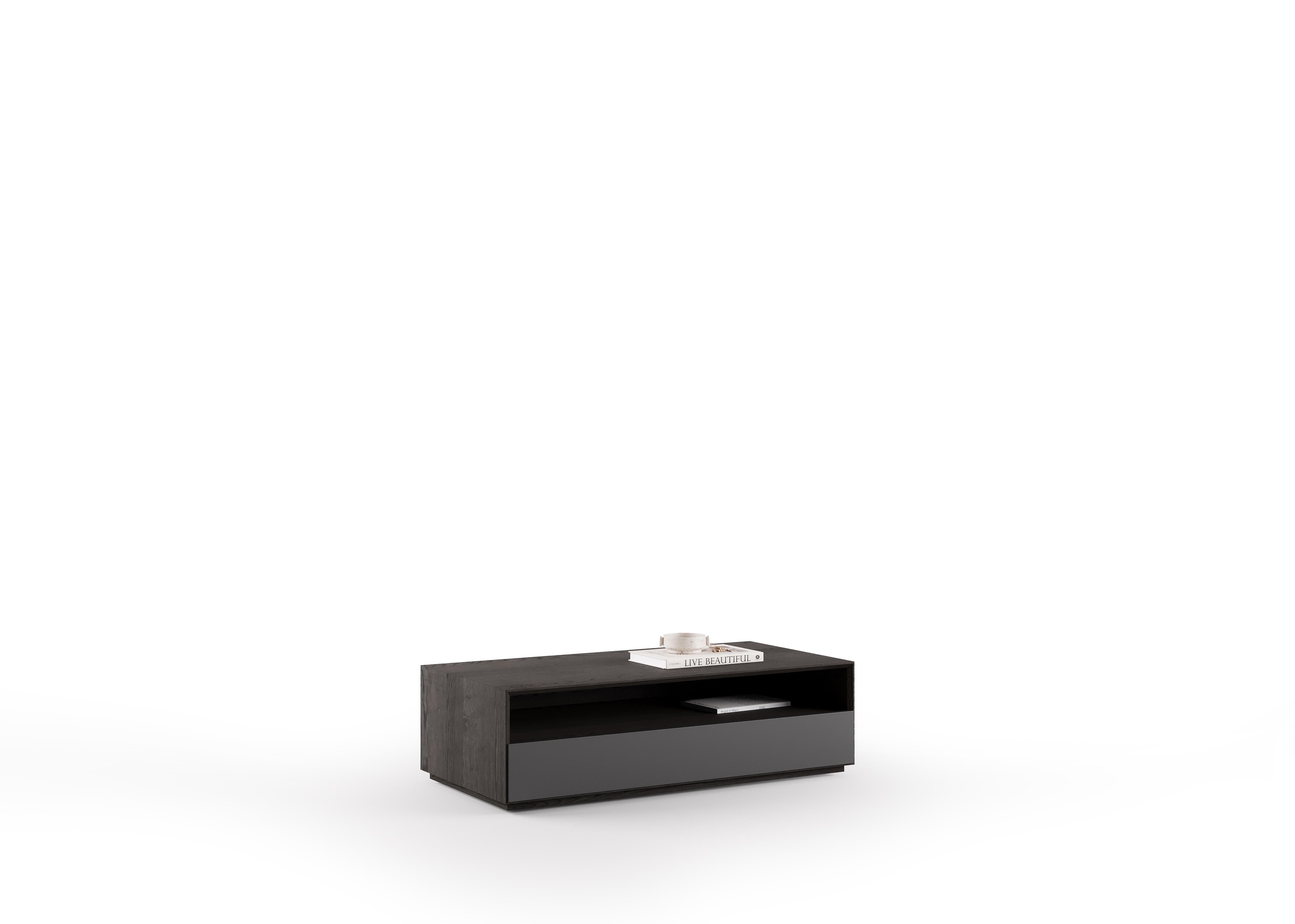 Lupa Coffee Table styled in a contemporary living room, adding elegance and functionality.